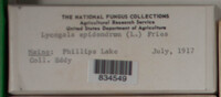 Image Associated With the Occurence
